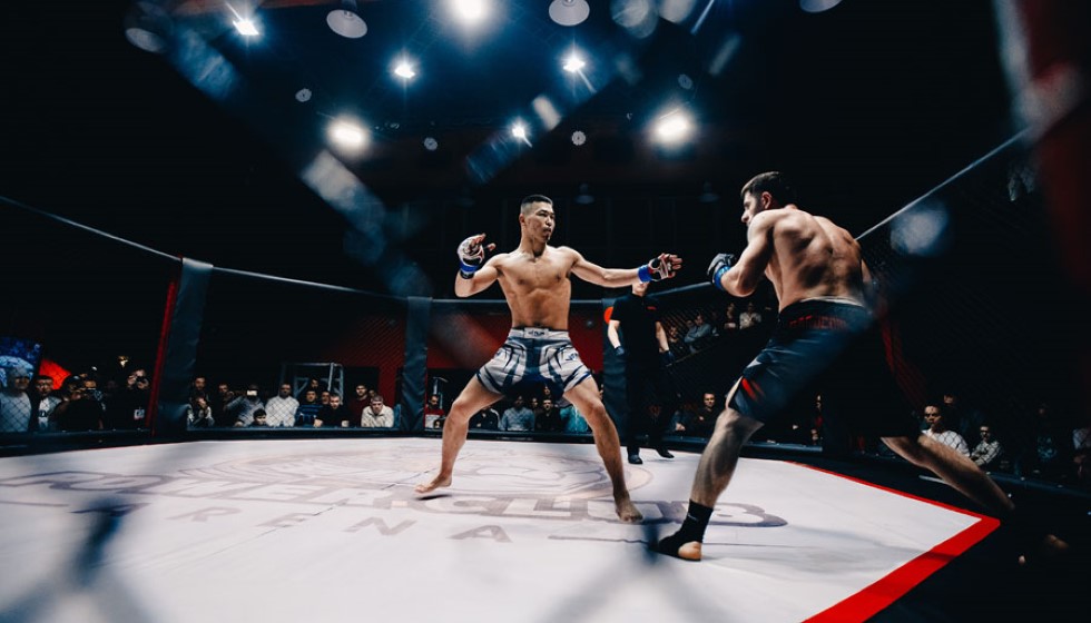 UFC Fight Night Controversy: Referee Criticized for Delayed Stoppage